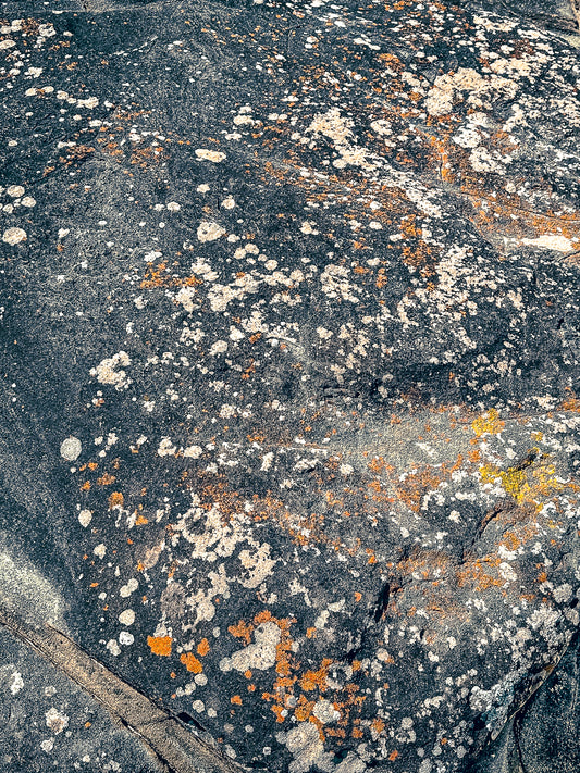 Tidal Textures