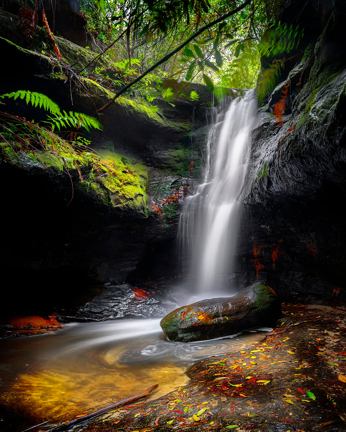 Waterfall cascading into a pool with autumn leaves and lush green ferns