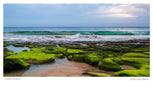 Coastal Greens — photograph by Jeff Walsh Photographer, supplied for the 2027 Central Coast Calendar