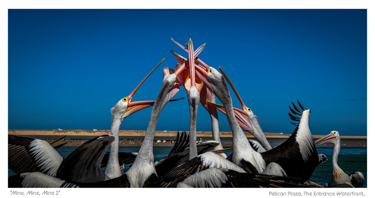 Mine Mine Mine 2 — photograph by Jeff Walsh Photographer, supplied for the 2027 Central Coast Calendar