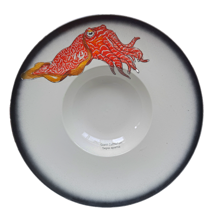 Ceramic plate with a giant cuttlefish design and a black rim
