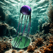 Jellyfish - Jimbo's Metal Art