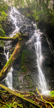 waterfall in lush green rainforest with mossy logs
