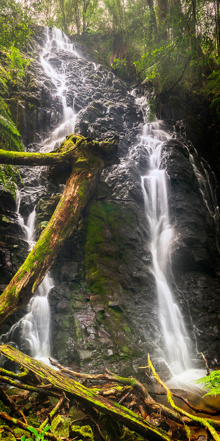 waterfall in lush green rainforest with mossy logs