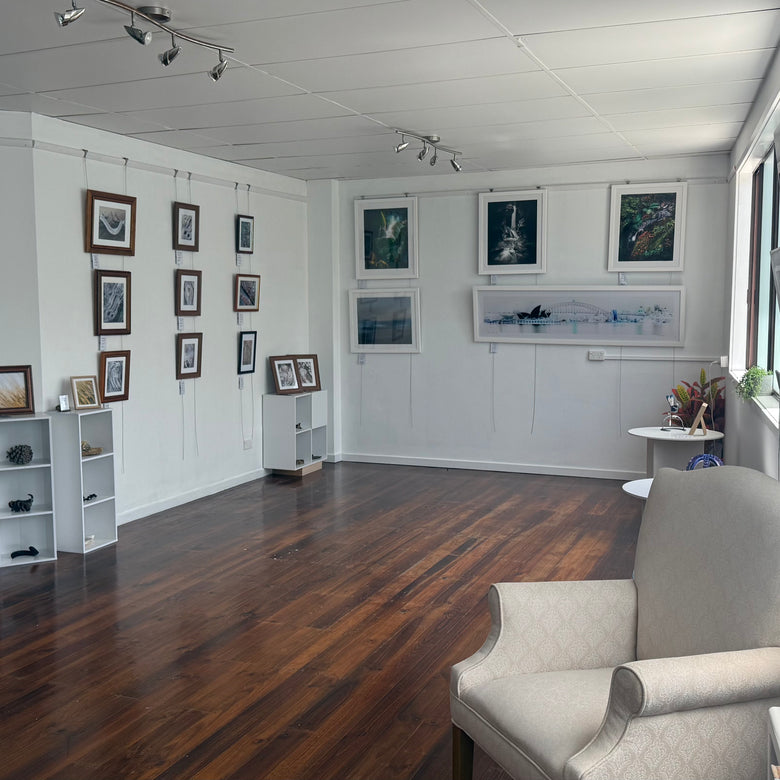 Modern gallery space with framed pictures on the wall, a chair, and large windows.