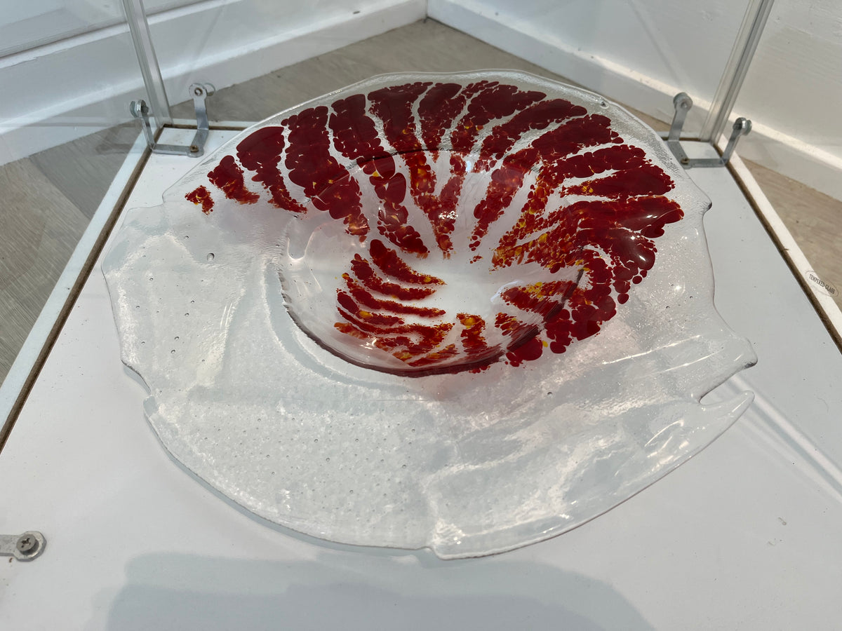Cherie Platen — Nautilus Decorative Bowl
