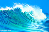 Mark Kingston original coastal painting — Rising Swell