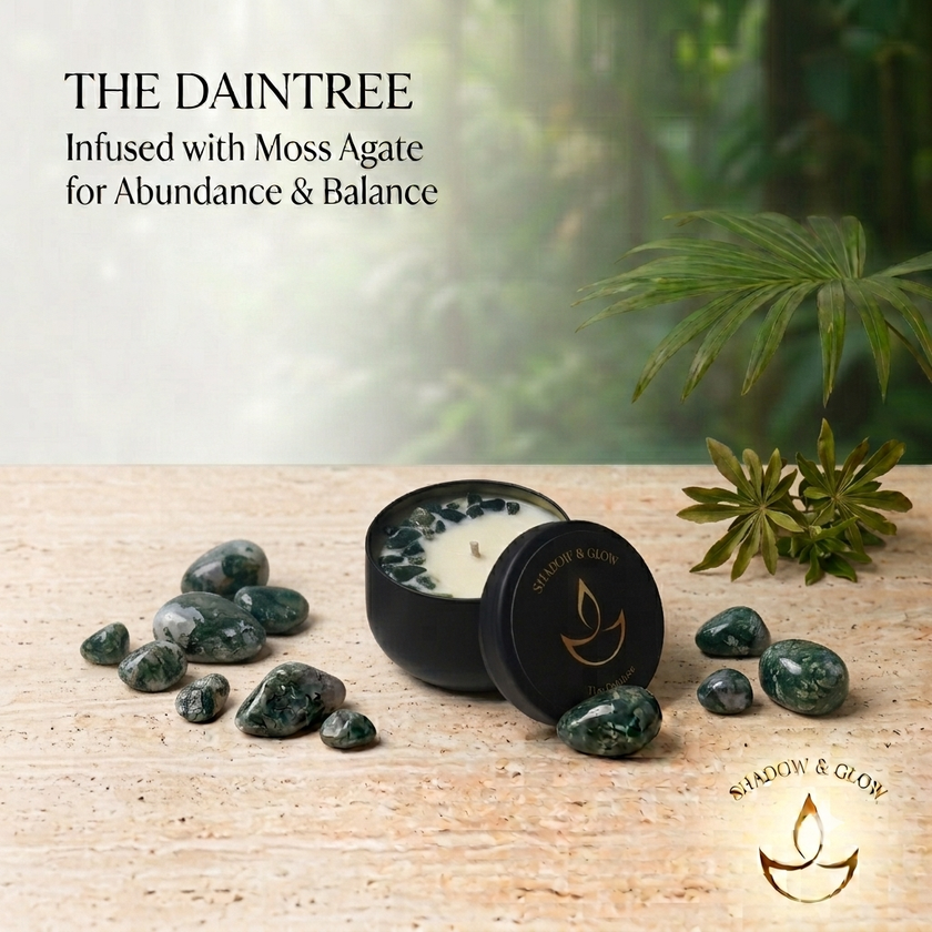 Shadow & Glow Small The Daintree candle