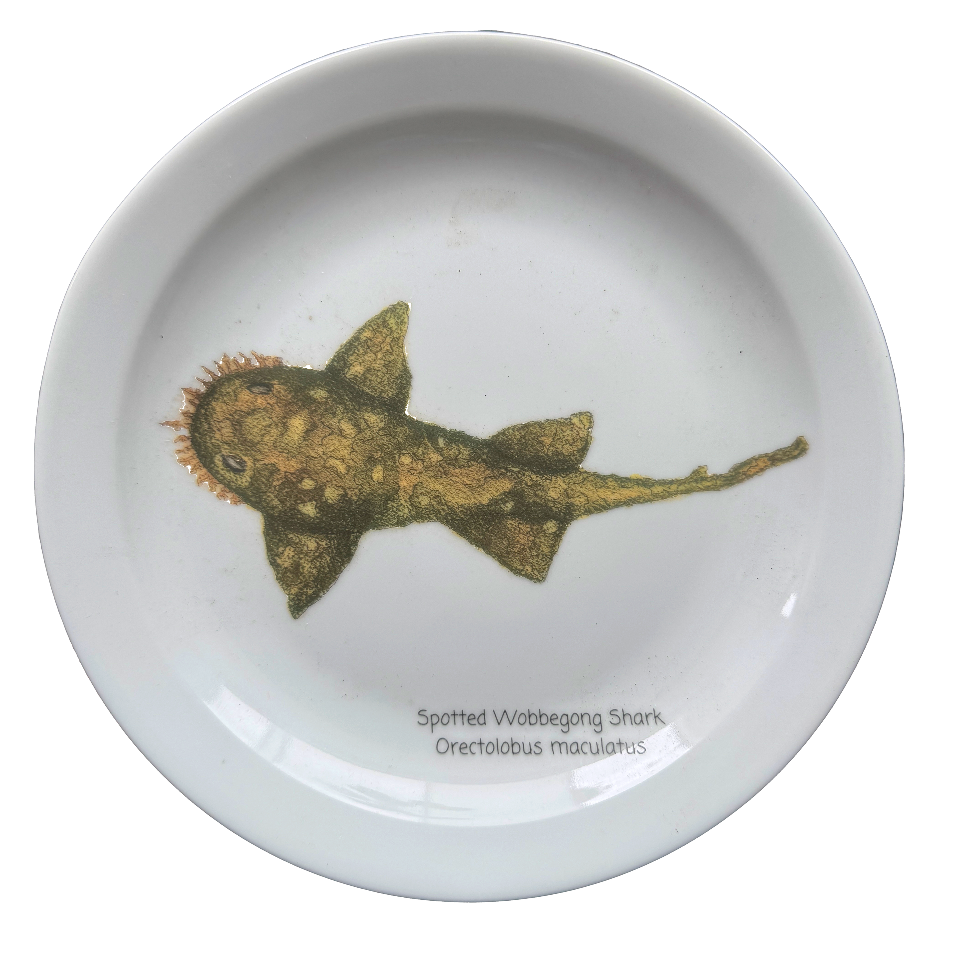 White plate with a printed image of a spotted wobbegong shark