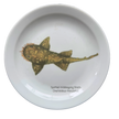 White plate with a printed image of a spotted wobbegong shark