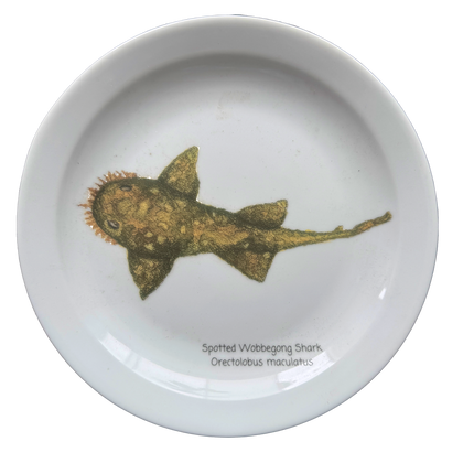White plate with a printed image of a spotted wobbegong shark