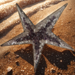 Starfish Large - Jimbo's Metal Art