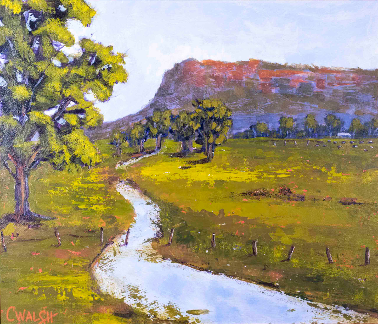 "Capertee Valley River" Acrylic on Board - 28cm x 33cm (framed)