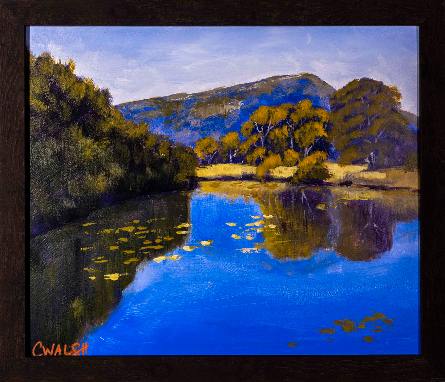 "Oxley River Reflections" Acrylic on Board - 28cm x 33cm (framed)