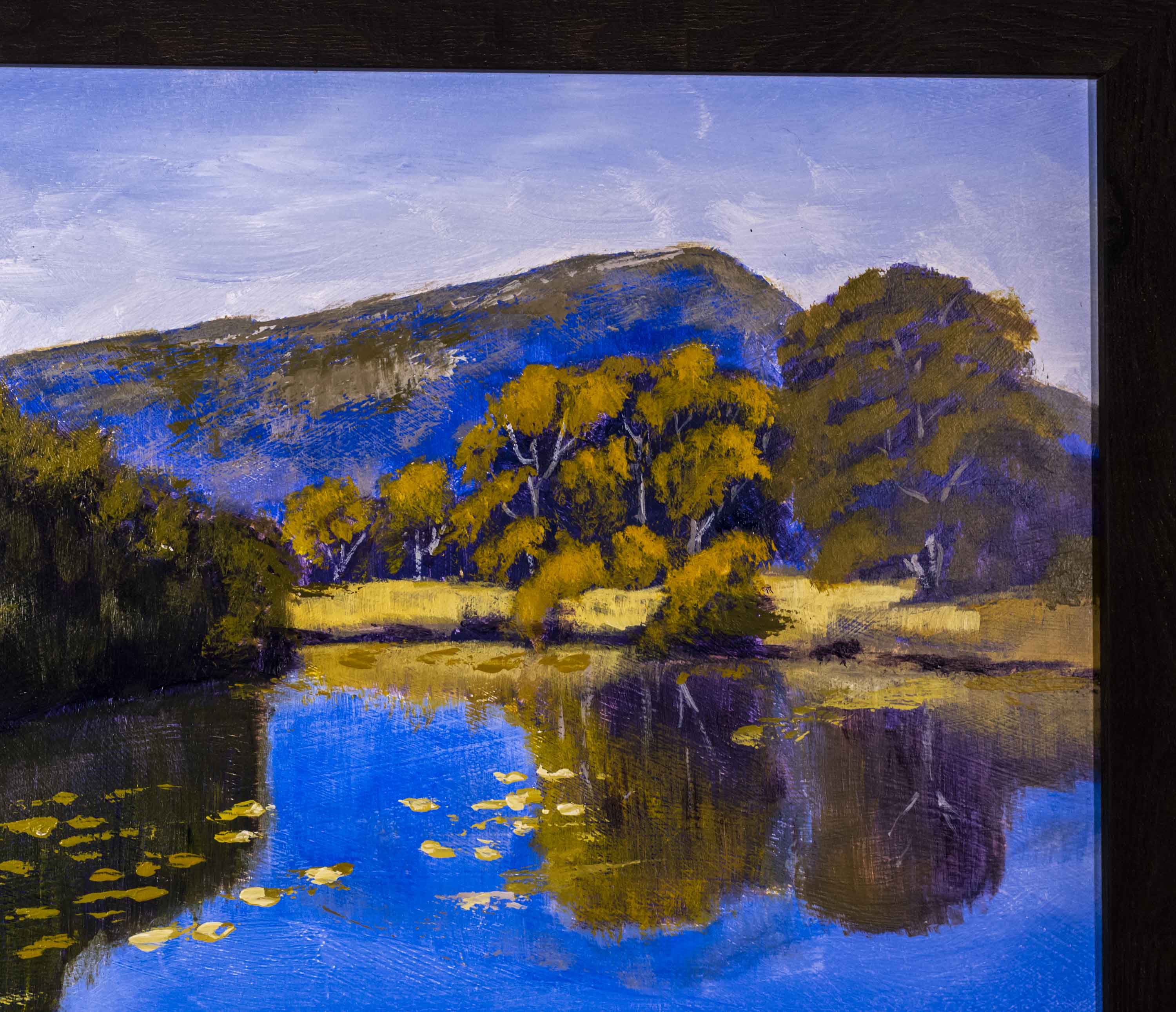 Oxley River Reflections
