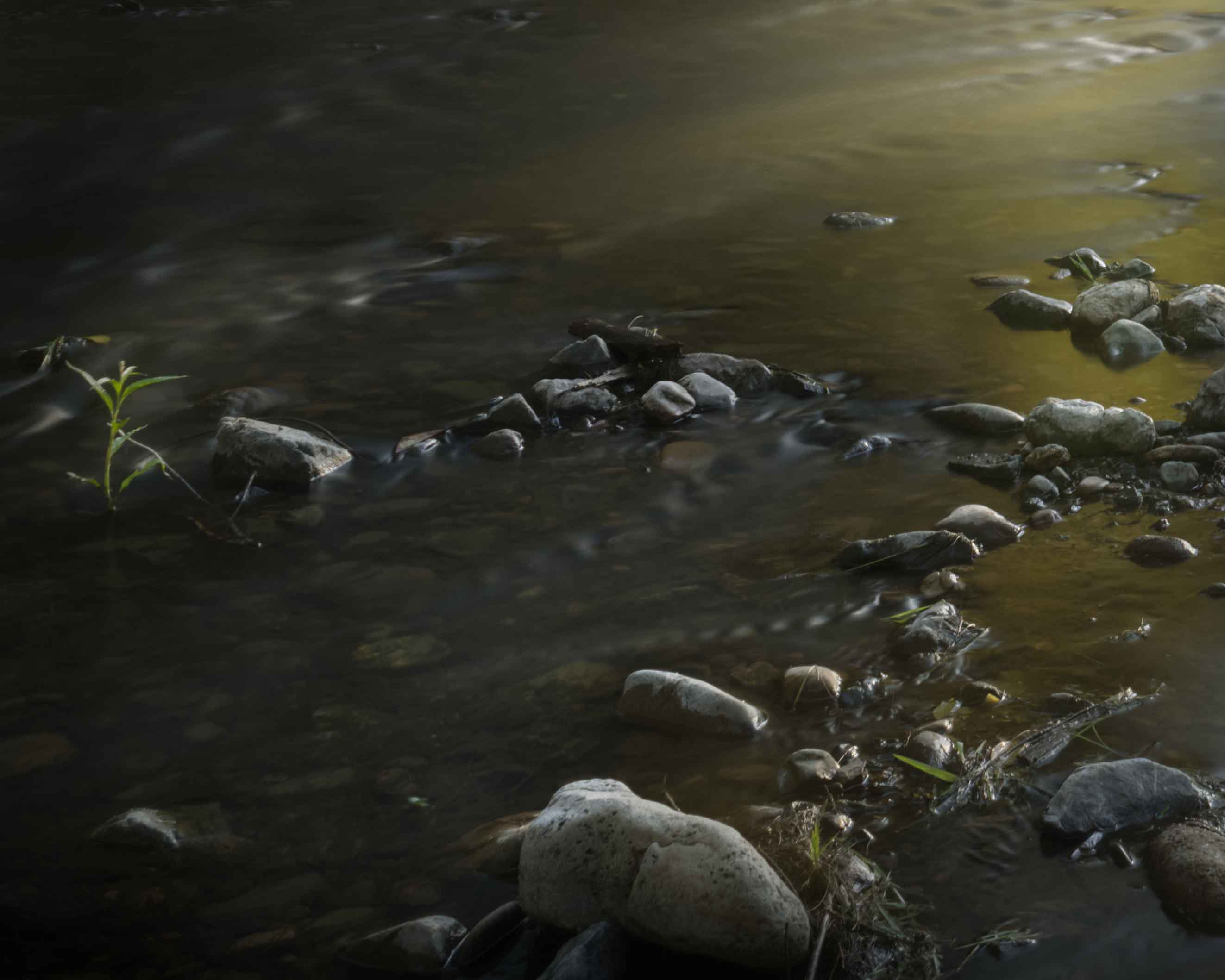 Turning Turon Autumn