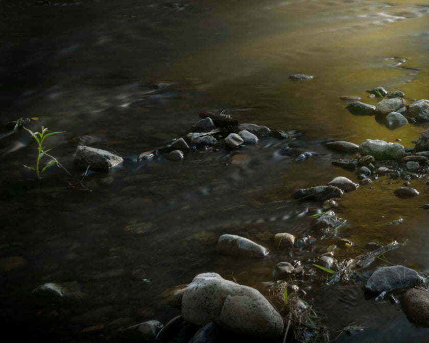 Turning Turon Autumn