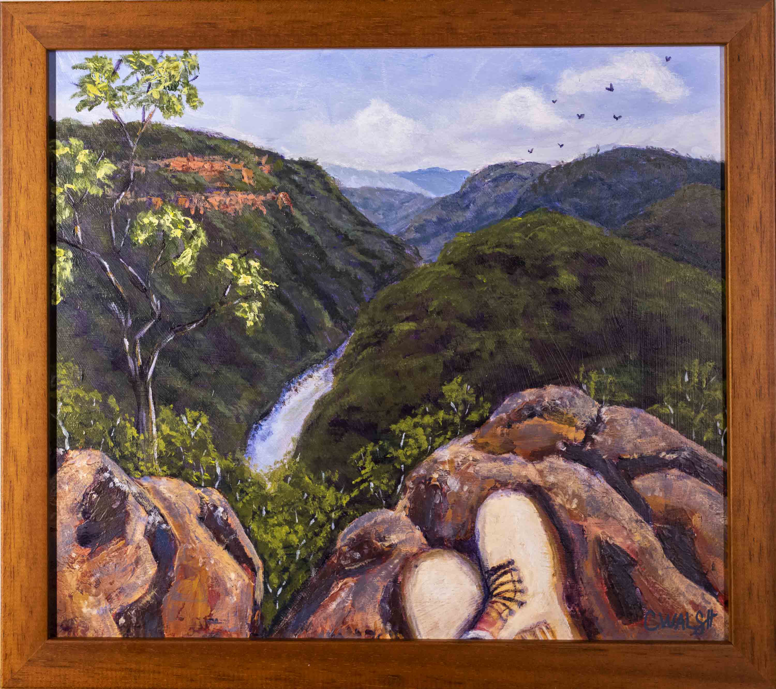 Vale of Avoca View