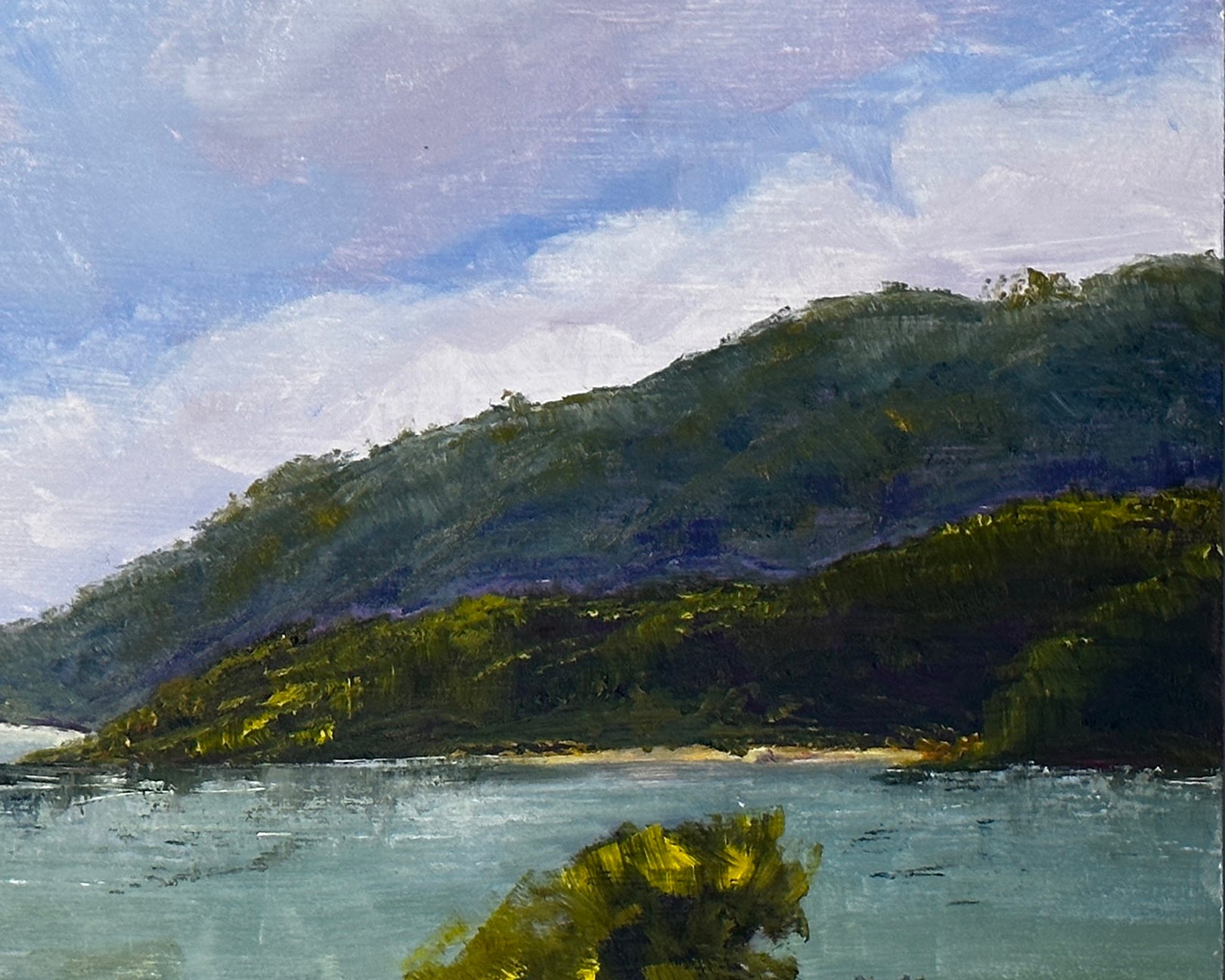 Whitsunday Sanctuary